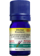 Lavender Oil (Stoechas, Organic) - 5ml