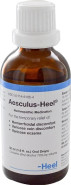 Aesculus Heel - 30ml - Heel
