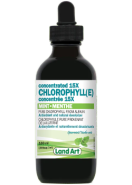 Chlorophyll Concentrated 15x Dropper (Mint) - 100ml