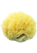 Sea Sponge (Small) - 1 Sponge