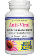 Echinamide Anti-Viral Potent Fresh Herbal Extract - 60 Softgels