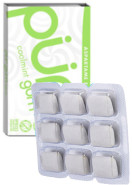 Coolmint Gum - 9 Pieces