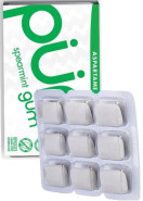 Spearmint Gum - 9 Pieces