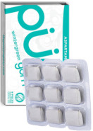 Wintergreen Gum - 9 Pieces