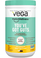 Vega Hello Wellness You’ve Got Guts (Choco Cinnamon Banana) - 405g