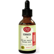 Immuno Echinacea Tincture (Organic) - 50ml