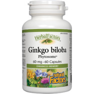 Ginkgo Biloba Phytosome 60mg - 60 Caps