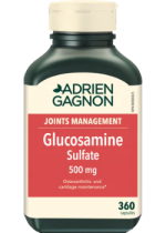 Glucosamine Sulfate 500mg - 360 Caps