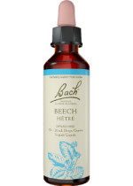 Beech - 20ml