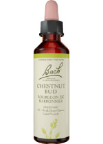 Chestnut Bud - 20ml