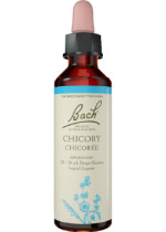 Chicory - 20ml
