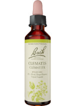 Clematis - 20ml