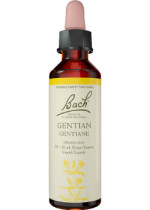 Gentian - 20ml