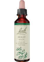 Holly - 20ml