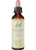 Honeysuckle - 20ml