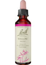 Willow - 20ml