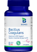 Bacillus Coagulans - 90 Caps