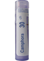Camphora 30C - 80 Pellets
