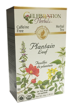 Plantain Leaf Tea (Organic) - 24 Tea Bags