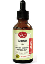 Immuno Echinacea Tincture (Organic) - 50ml