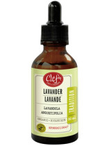 Tradition Lavender Tincture (Organic) - 50ml
