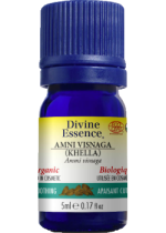 Ammi Visnaga Oil (Khella, Organic) - 5ml