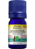 Balsam Poplar Oil (Organic) - 5ml