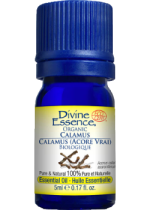 Calamus Oil (Organic) - 5ml