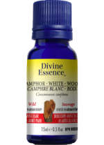 Camphor Wood Oil (White, Wild) - 15ml