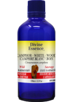 Camphor Wood Oil (White, Wild) - 100ml