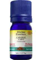 Caraway Oil (Organic) - 5ml