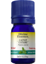 Catnip Oil (Wild) - 5ml