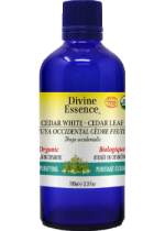 Cedar Leaf Oil (White, Organic) - 100ml