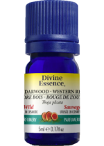 Cedarwood Oil (Western Red, Wild) - 5ml