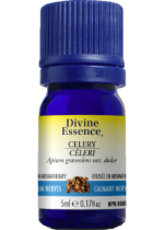Celery Oil - 5ml