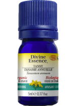 Chamomile Oil (Blue Tansy, Organic) - 5ml