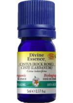 Cistus Oil (Rock Rose, Organic) - 5ml