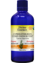 Cypress Oil (Evergreen, Organic) - 100ml