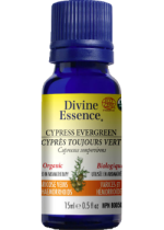 Cypress Oil (Evergreen, Organic) - 15ml
