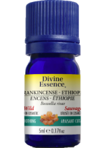 Frankincense Ethiopia Oil (Boswellia Rivae, Wild) - 5ml