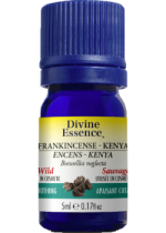 Frankincense Kenya Oil (Boswellia Neglecta, Wild) - 5ml