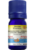 Frankincense Somalia Oil (Boswellia Carterii, Organic) - 5ml