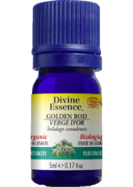 Golden Rod Oil (Organic) - 5ml