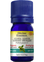 Guava Oil (Leaves, Organic) - 5ml