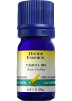 Mimosa Oil (10% Absolute) - 5ml