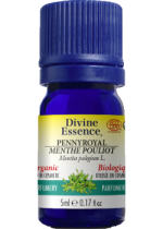 Pennyroyal Oil (Organic) - 5ml