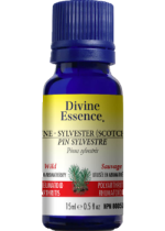 Pine Oil (Sylvester Scotch, Wild) - 15ml