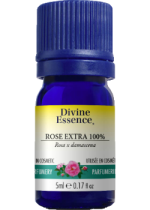 Rose Extra Oil (100% Absolute) - 5ml