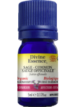 Sage Oil (Common, Organic) - 5ml