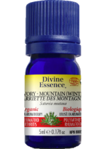 Savory Mountain Oil (Winter, Organic) - 5ml